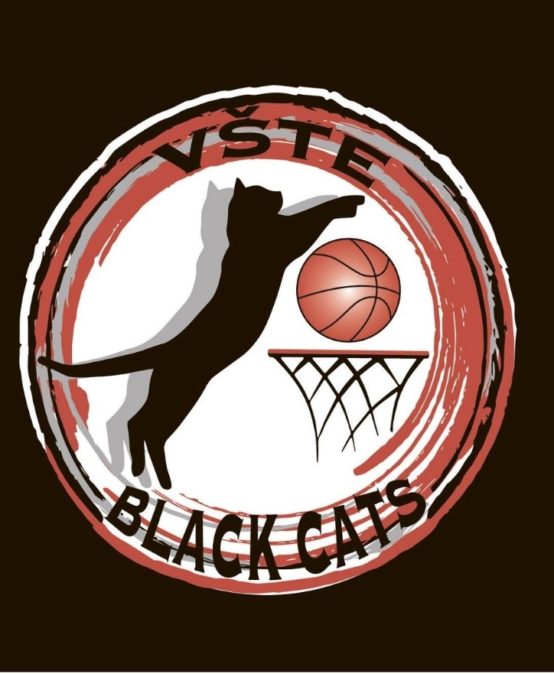 We are setting up a women’s basketball team Black Cats and we are looking just for you!