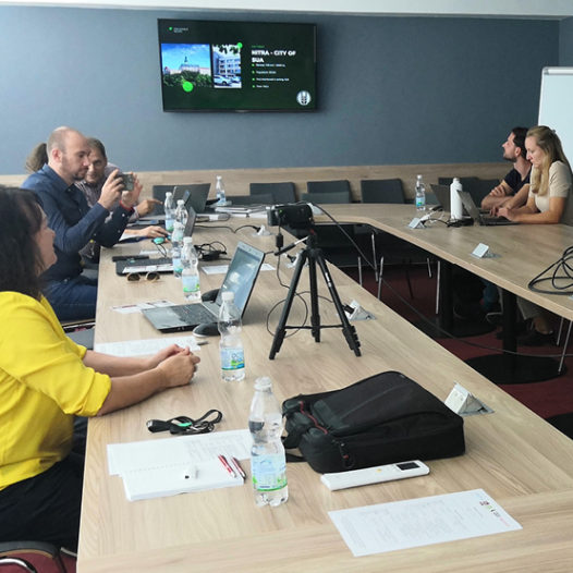 Seminář Mezinárodního visegrádského fondu odstartoval sérii workshopů na VŠTE
